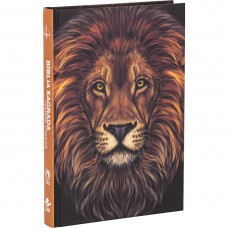 Bíblia Sagrada ARC, Letra Regular, com Harpa Cristã, Capa Dura Ilustrada: Marrom