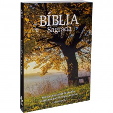Bíblia Sagrada NAA, Letra Regular, Capa Brochura Bíblia Sagrada NAA, Letra Regular, Capa Brochura