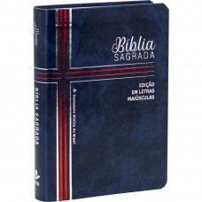 Bíblia Sagrada NTLH, Letra Maiúscula, com mapa, Letra Regular, Capa Couro Sintético Ilustrada