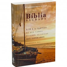 Bíblia Sagrada NTLH para Evangelismo, Letra Gigante, com mapa, Capa Brochura Ilustrada: Terracota