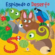 Espiando o deserto