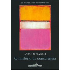 O mistério da consciência
