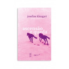 Ascensão e queda