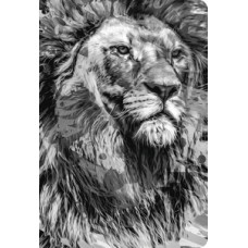Bíblia NTLH YouVersion The Lion P&B Bíblia NTLH YouVersion The Lion P&B