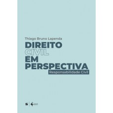 Direito civil em perspectiva