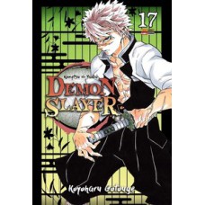 Demon slayer - kimetsu no yaiba vol. 17