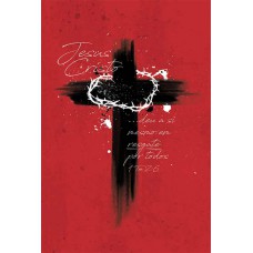 Bíblia NAA Cruz de Cristo Bíblia NAA Cruz de Cristo
