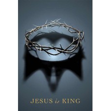 Bíblia NAA Jesus is king Bíblia NAA Jesus is king