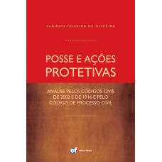 Posse e ações protetivas - análise pelos códigos civis de 2002 e de 1916 e pelo Código de Processo Civil