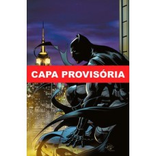 Batman especial vol. 13: eu sou o batman Batman especial vol. 13: eu sou o batman