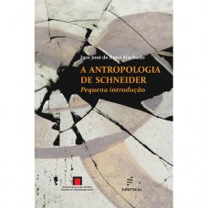 A antropologia de Schneider
