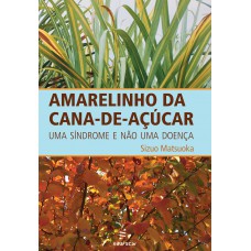 Amarelinho da cana-de-açúcar Amarelinho da cana-de-açúcar