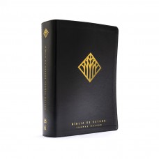 Bíblia de Estudo Thomas Nelson NVI, Letra tradicional, Fonte Leitura Perfeita, com mapas e mais de 50 mil recursos, Capa luxo Preta