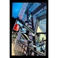 Justiceiro por mike baron & klaus janson (marvel essenciais)