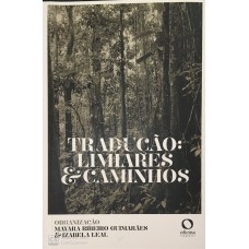 Tradução: limiares e caminhos