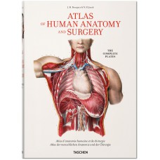 Bourgery. Atlas of Human Anatomy and Surgery Bourgery. Atlas of Human Anatomy and Surgery