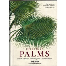 The book of palms The book of palms