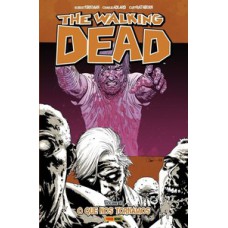 The walking dead vol. 10: o que nos tornamos