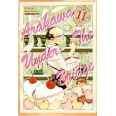Arakawa under the bridge vol. 11 Arakawa under the bridge vol. 11