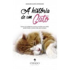 A História de um Gato A História de um Gato