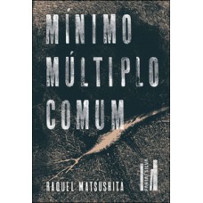 Mínimo múltiplo comum Mínimo múltiplo comum
