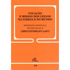 Vocação e missão dos leigos na Igreja e no mundo - 119