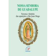 Nossa Senhora de Guadalupe - novena e história das aparições a São Juan Die