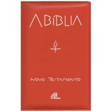 A Bíblia - Novo testamento (encadernado)