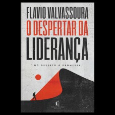 O despertar da liderança O despertar da liderança