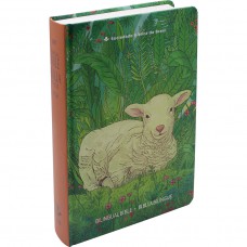 Bíblia Sagrada Bilíngue NTLH e GNT (Inglês e Português) de Estudo para Adolescente, Letra Regular, com mapa, Capa Dura Ilustrada: Verde-escura