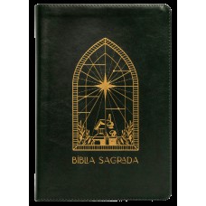 Bíblia A21 The Purpose Book, Letra tradicional, com espaço para anotação, Capa luxo Verde