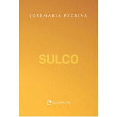 Pocket Sulco - Medium