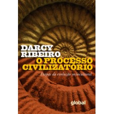 O processo civilizatório