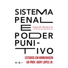 Sistema penal e poder punitivo: