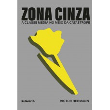 Zona cinza