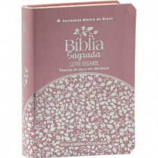 Bíblia Sagrada NAA para Mulher, Letra Gigante, com palavras de Jesus destacadas, com mapa, Tamanho Médio, Capa Couro Sintético Rosa Bíblia Sagrada NAA para Mulher, Letra Gigante, com palavras de Jesus destacadas, com mapa, Tamanho Médio, Capa Couro Sintético Rosa