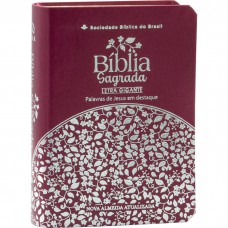 Bíblia Sagrada NAA para Mulher, Letra Gigante, com palavras de Jesus destacadas, com mapa, Capa Couro Sintético Rosa Beira Florida Bíblia Sagrada NAA para Mulher, Letra Gigante, com palavras de Jesus destacadas, com mapa, Capa Couro Sintético Rosa Beira Florida