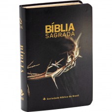 Bíblia Sagrada NAA, Letra Regular, Tamanho Mini, Capa Semi Flexível Ilustrada