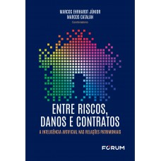 Entre riscos, danos e contratos