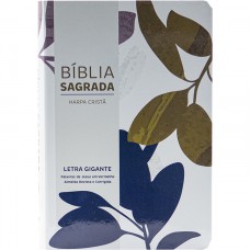 Bíblia Sagrada ARC para Mulher, Letra Gigante, com palavras de Jesus destacadas, com Harpa Cristã, com mapa, Capa Semi Flexível Ilustrada