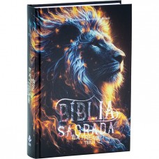 Bíblia Extreme Teen NTLH, Letra Regular, com mapa, Capa Dura Ilustrada: Preto
