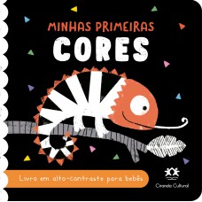 Minhas primeiras cores