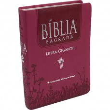 Bíblia Sagrada NTLH para Mulher, Letra Gigante, com mapa, com índice, Capa Couro Sintético Rosa Pink