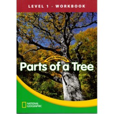 World Windows 1 - Parts of a Tree World Windows 1 - Parts of a Tree