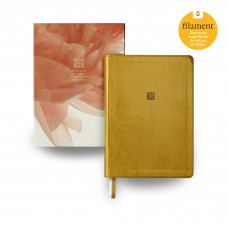 Bíblia de Estudo para Toda Mulher NVT Filament, Com Recursos Interativos, Letra Regular, Inteiramente Colorida e Ilustrada, Com Caixa, Capa Luxo Couro Sintético Dourada