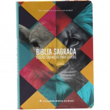 Bíblia Sagrada com Notas para Jovens NTLH, Letra Regular, com mapa, Capa Semi Flexível Ilustrada