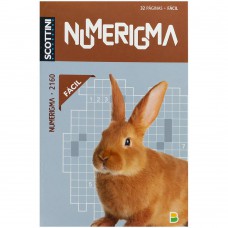 SCOTTINI NUMERIGMA N2160 329(F)
