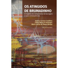 Os atingidos de Brumadinho: a tragédia do rompimento da barragem e suas consequências