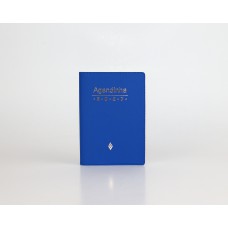 Agenda simples 2027 - azul
