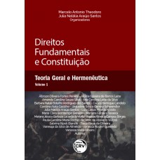 Direitos Fundamentais E Constituição: